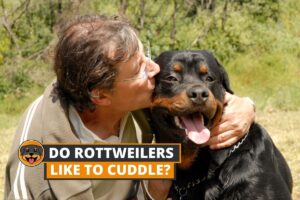Rottweiler cuddling owner