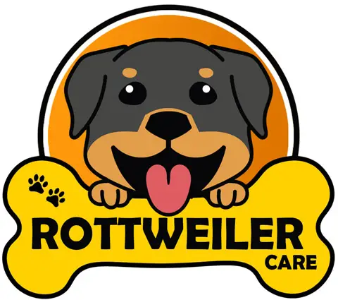 Rottweiler Care