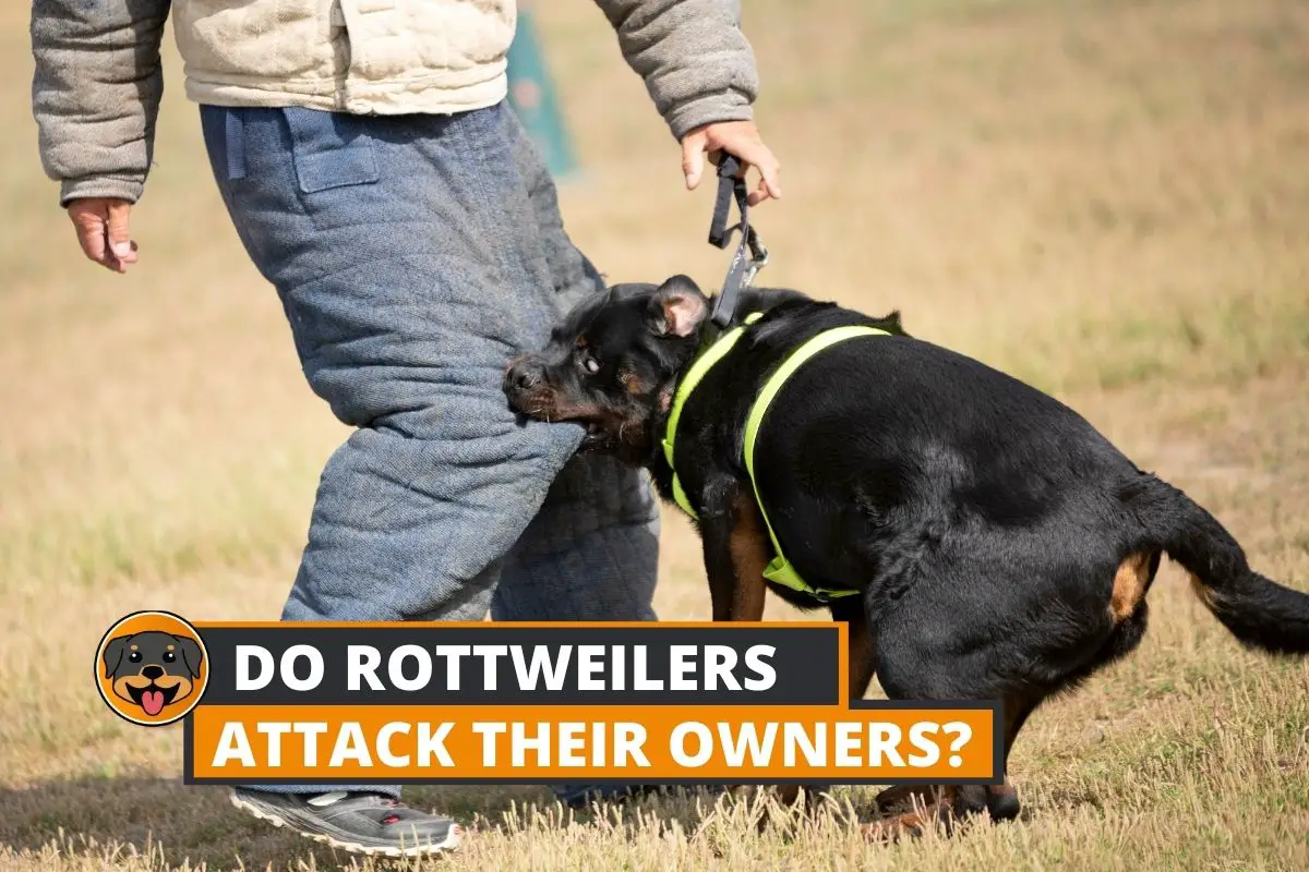 do rottweilers attack their owners