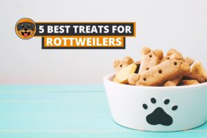 treats for rottweiler