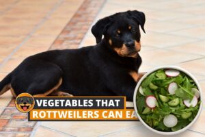 vegetable rottweilers can eat