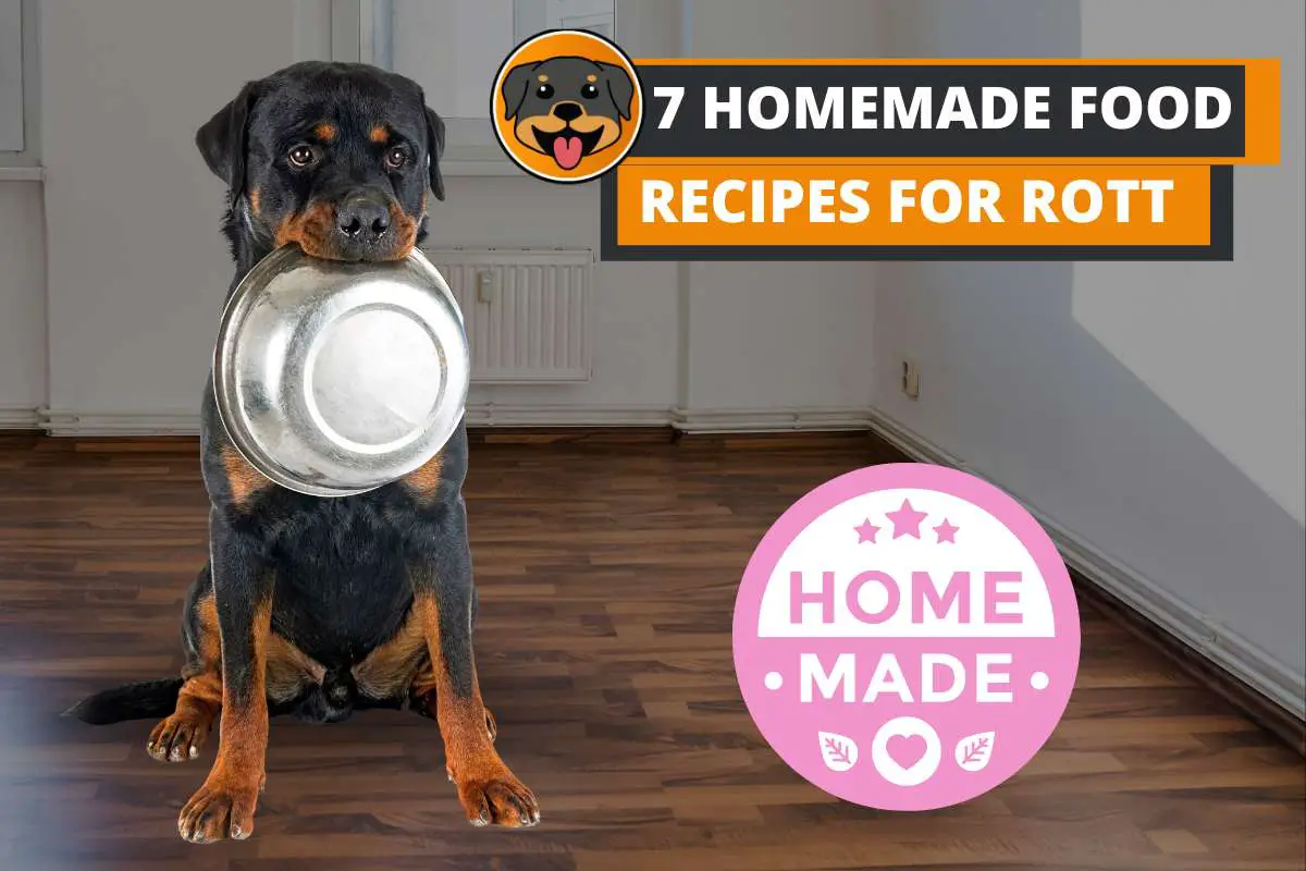 7 Homemade Food Recipes for Rottweiler